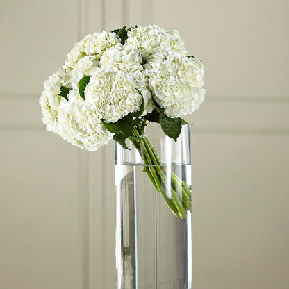 White Hydrangea Hand-Tied Bouquet –  Maison Blooms, Wesley Chapel FL