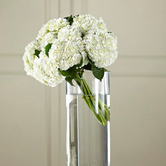 White Hydrangea Hand-Tied Bouquet –  Maison Blooms, Wesley Chapel FL