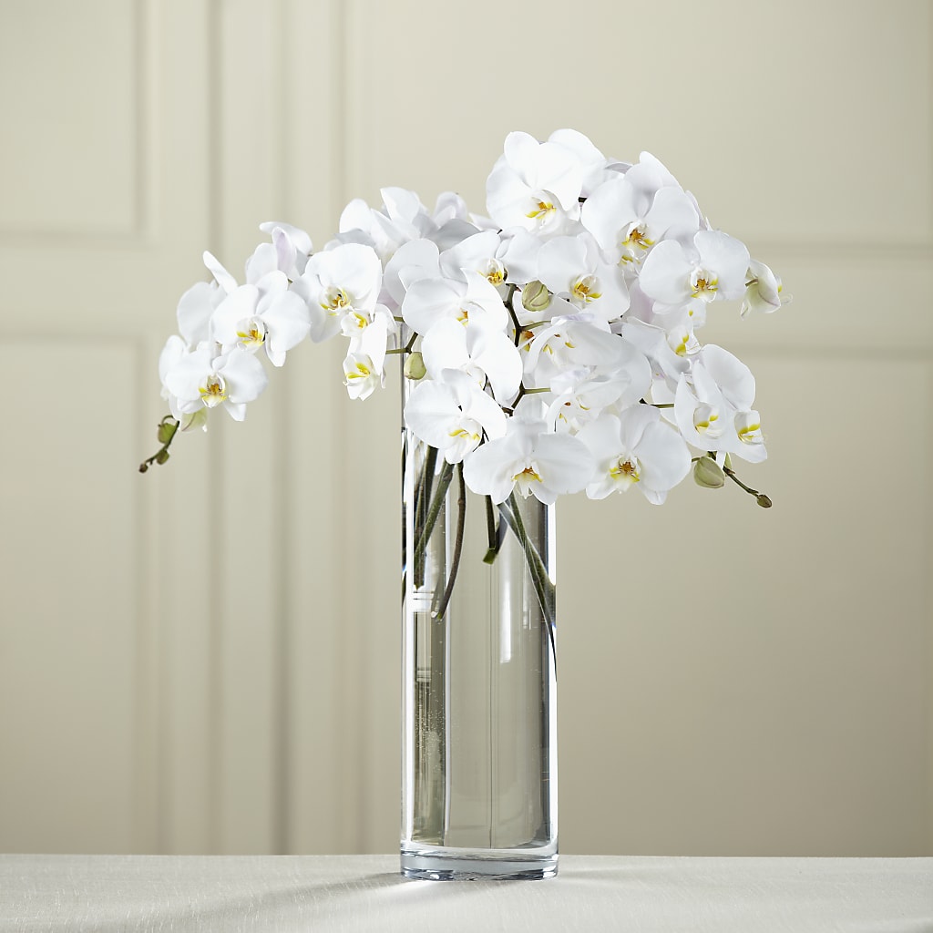 White Phalaenopsis Bouquet –  Maison Blooms, Wesley Chapel FL