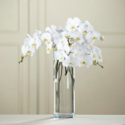 White Phalaenopsis Bouquet –  Maison Blooms, Wesley Chapel FL