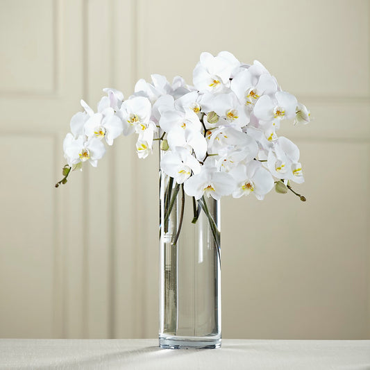 White Phalaenopsis Bouquet –  Maison Blooms, Wesley Chapel FL