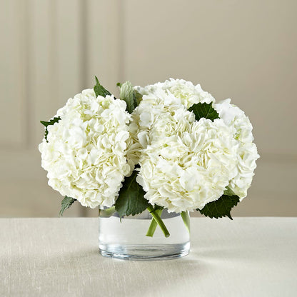 White Hydrangea Bouquet –  Maison Blooms, Wesley Chapel FL