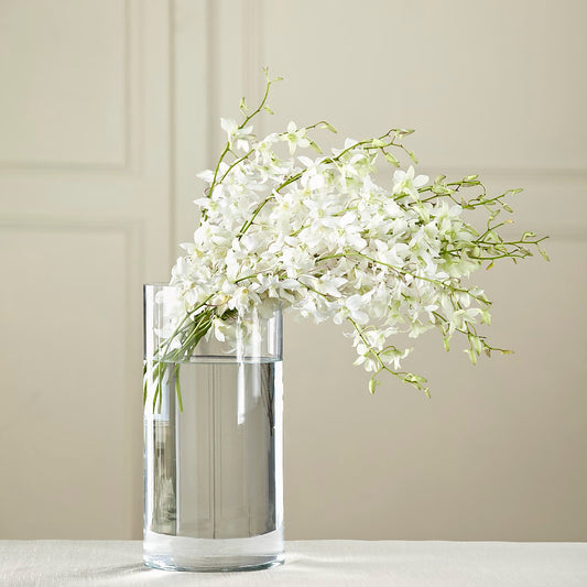 White Dendrobium Bouquet –  Maison Blooms, Wesley Chapel FL
